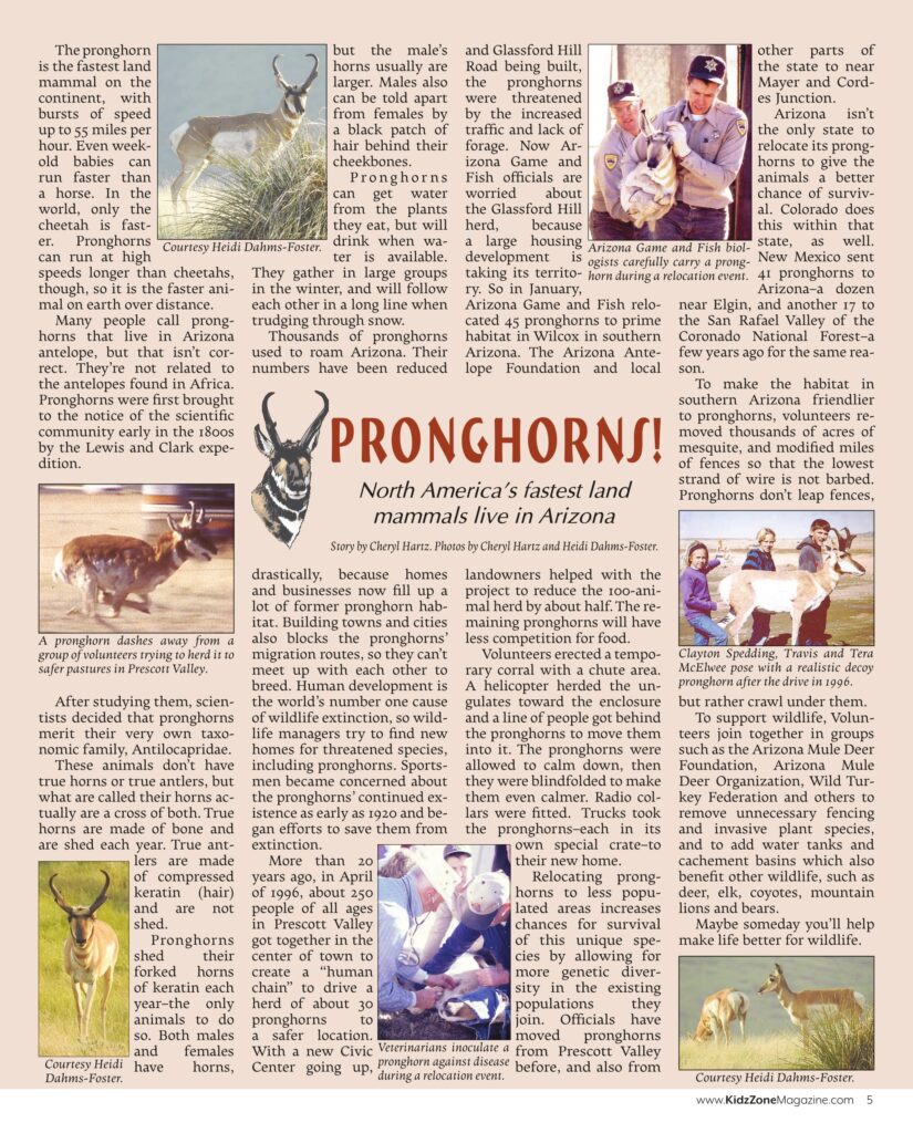 Pronghorn Article; Click to Read